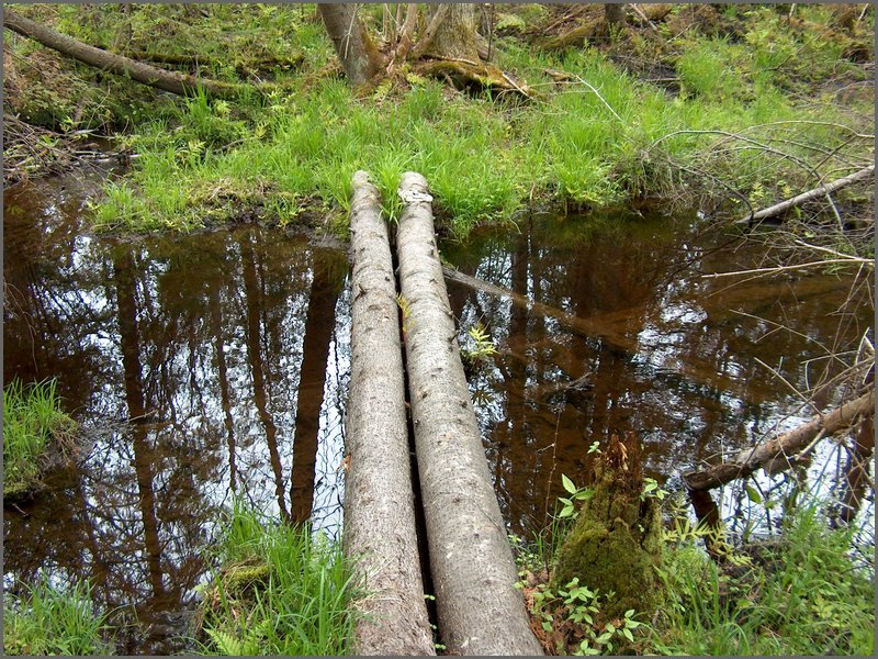 CF100 Crash Site  9.jpg