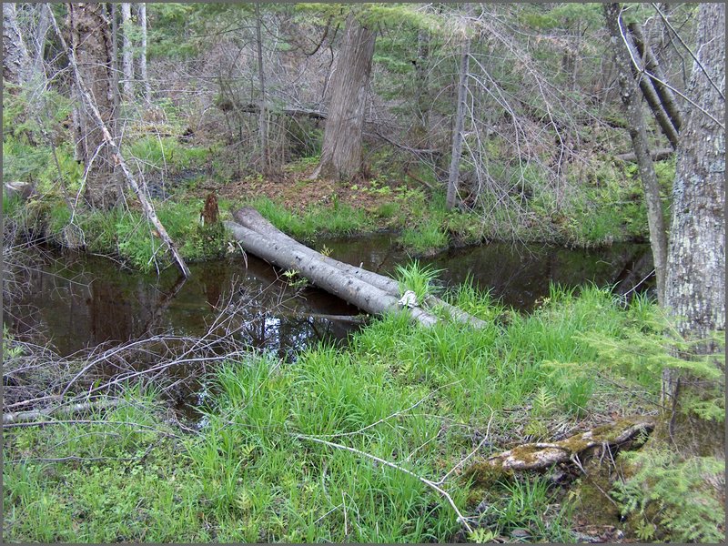 CF100 Crash Site 12.jpg