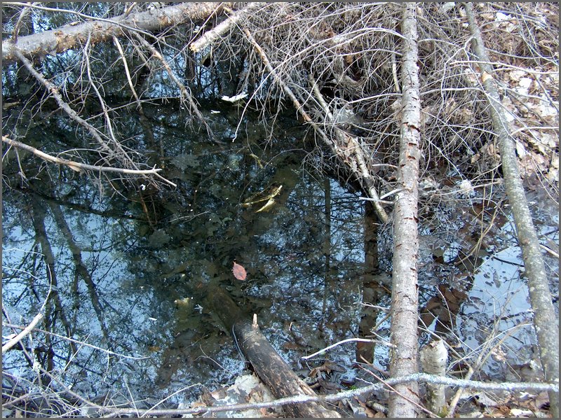 CF100 Crash Site 23.jpg