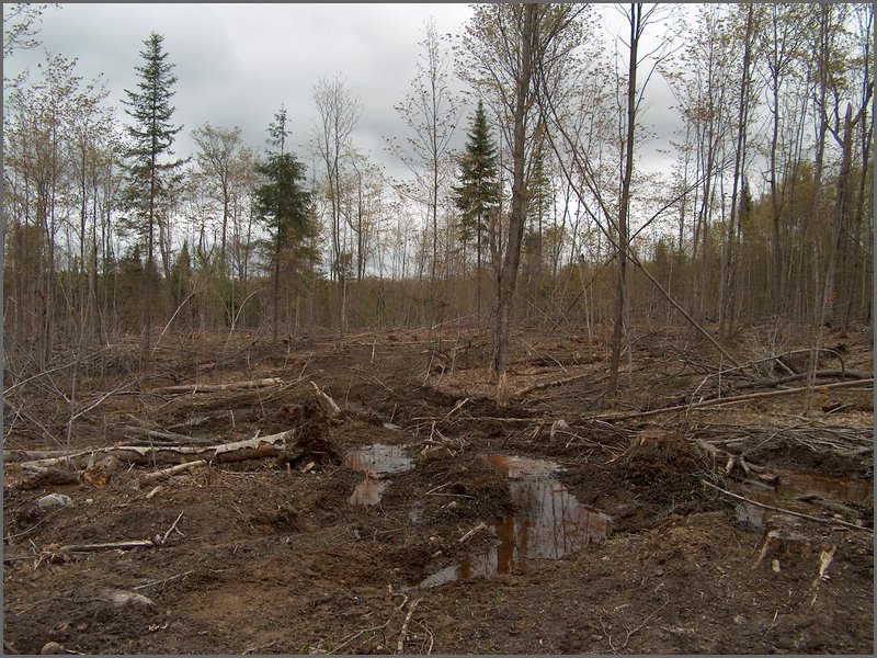 CF100 Crash Site 34.jpg