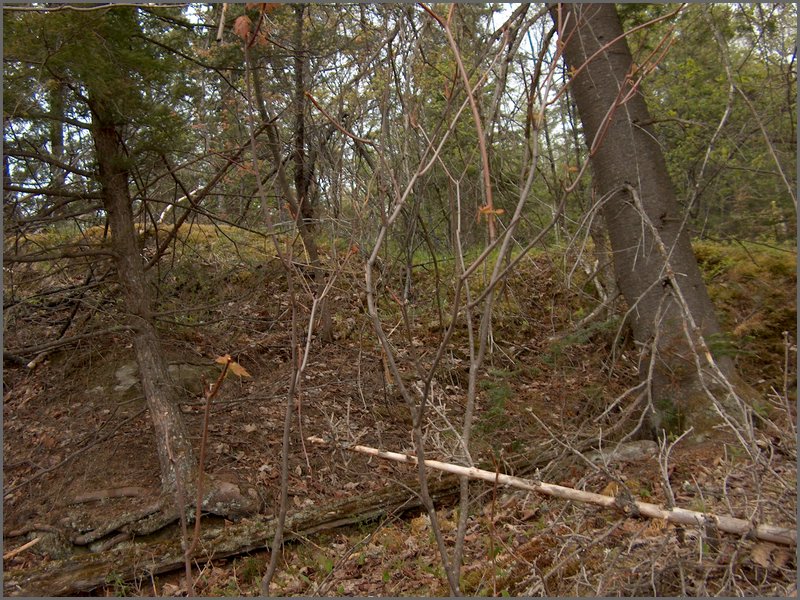 CF100 Crash Site 37.jpg