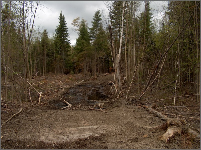 CF100 Crash Site 38.jpg