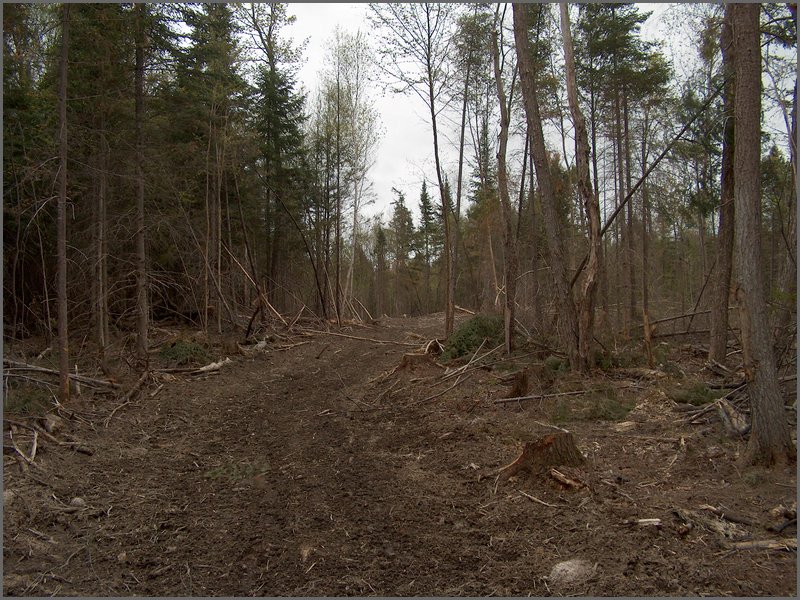 CF100 Crash Site 39.jpg