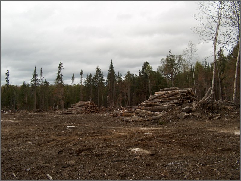 CF100 Crash Site 43.jpg