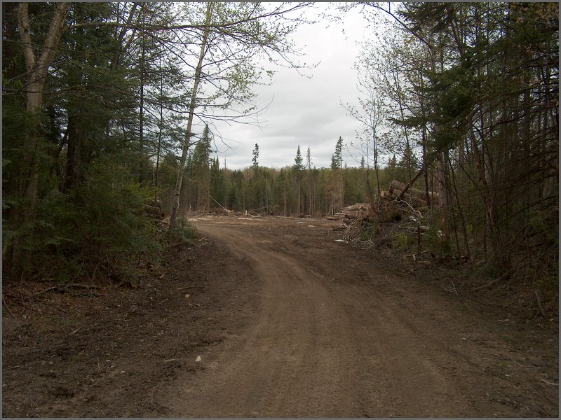 CF100 Crash Site 47.jpg