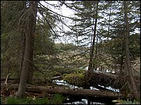 CF100 Crash Site 10.jpg