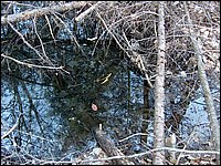CF100 Crash Site 23.jpg