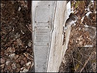 CF100 Crash Site 25.jpg