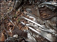CF100 Crash Site 32.jpg