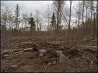 CF100 Crash Site 34.jpg