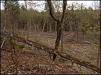 CF100 Crash Site 36.jpg