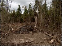 CF100 Crash Site 38.jpg