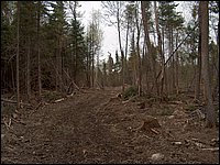 CF100 Crash Site 39.jpg