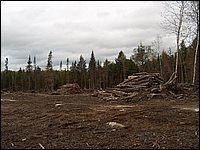 CF100 Crash Site 43.jpg