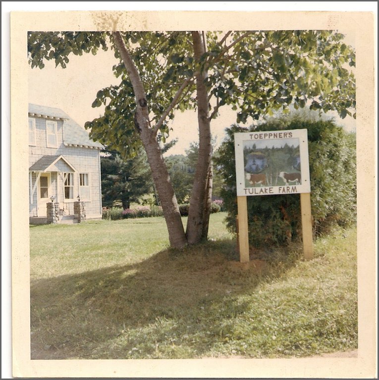 Toeppner's Tulake Farm.jpg