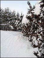Hpim2154.jpg