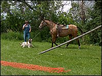 Clark House Museum 51.jpg