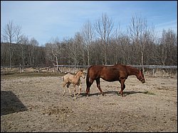 IMG_9786.JPG