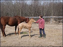 IMG_9787.JPG