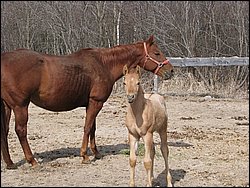 IMG_9789.JPG