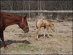 IMG_9802.JPG
