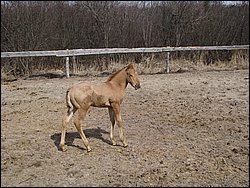 IMG_9808.JPG