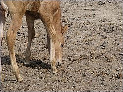 IMG_9809.JPG