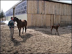 IMG_9813.JPG