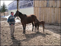 IMG_9816.JPG