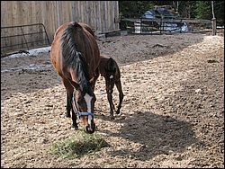 IMG_9825.JPG