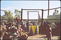 32430013.JPG