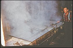 32770008.JPG