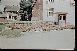 32790023.JPG