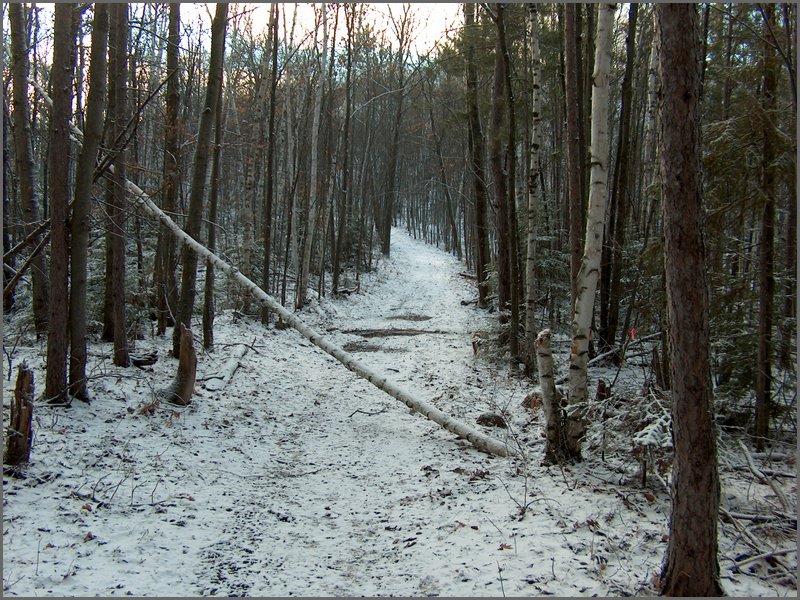 Christmas Eve 2006 029.jpg