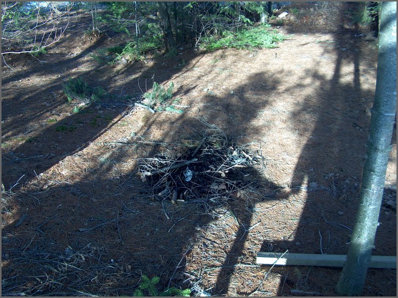 Hpim2915.jpg