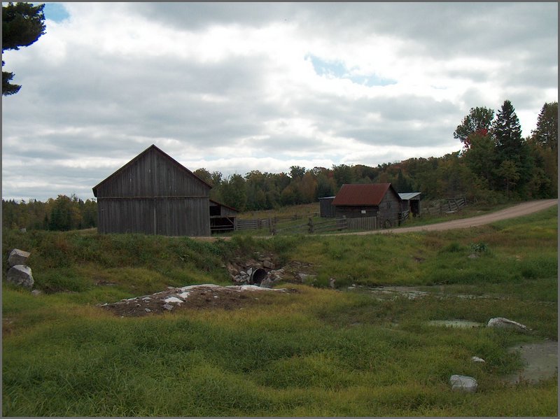 Barn Across Drained Pond.jpg