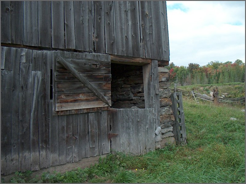Calf Stable Door.jpg