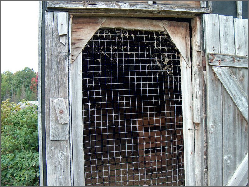 Chicken Coop Door.jpg