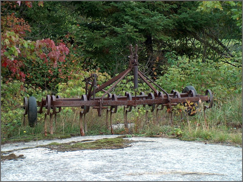 Cultivator.jpg
