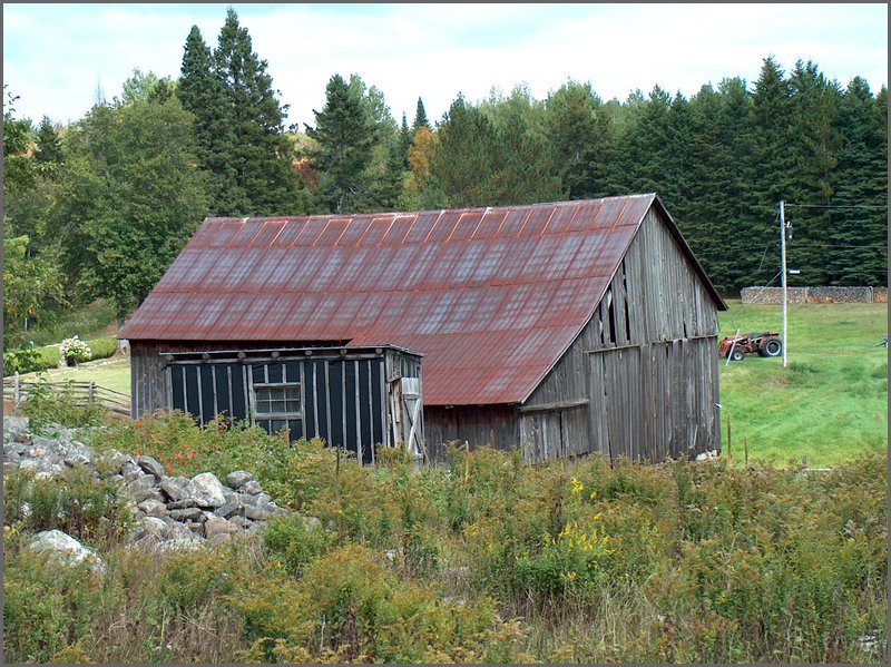 Farm03.jpg
