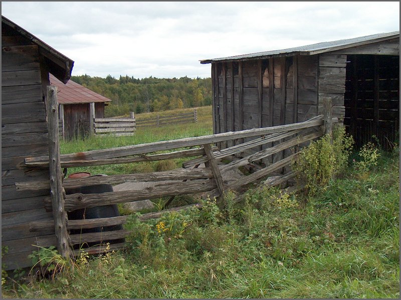 Fence By Tractor Shed.jpg