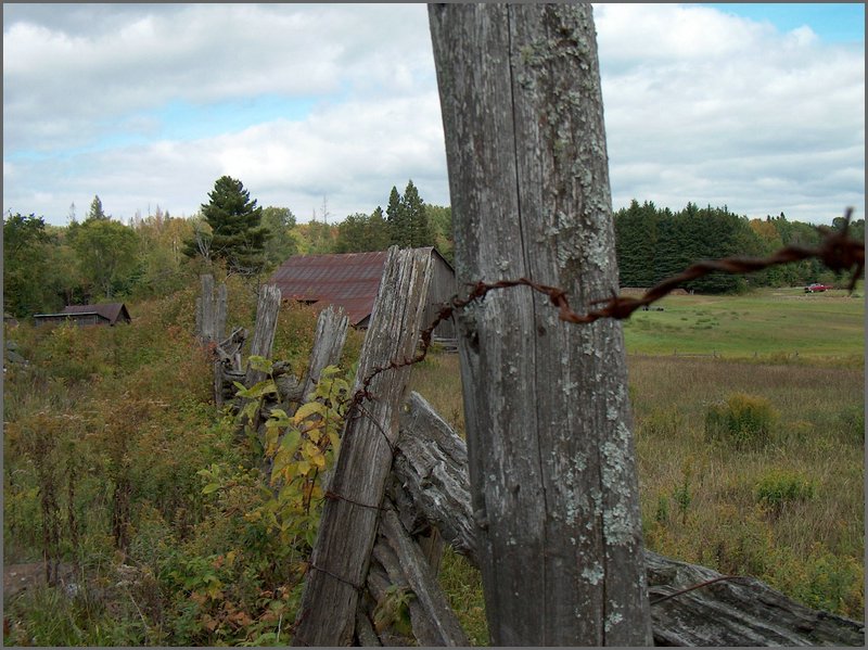 Fence Post - Barbed Wire.jpg