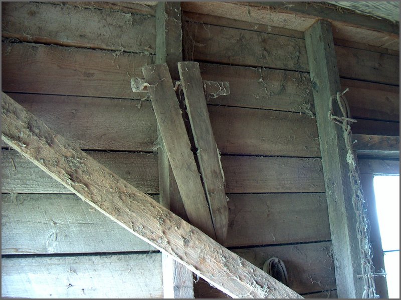 Fur Stretcher In Horse Shed.jpg