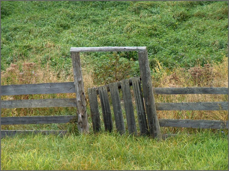 Gate By Creek.jpg