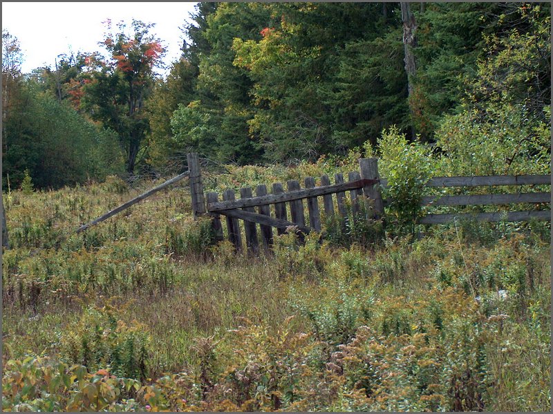 Gate To Pasture.jpg