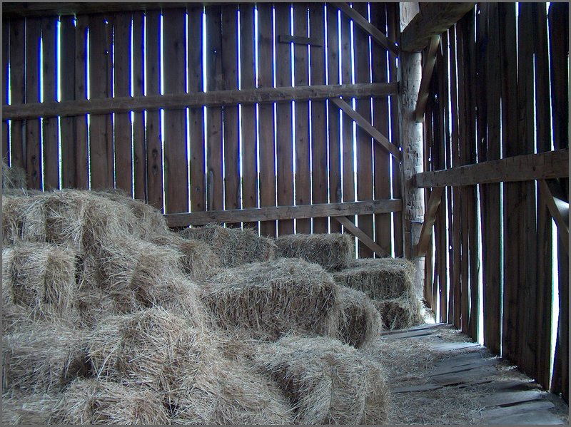 Hay Mow Bales.jpg