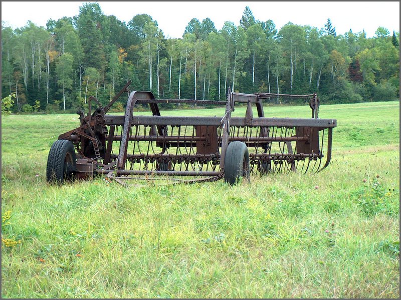 Hay Rake.jpg