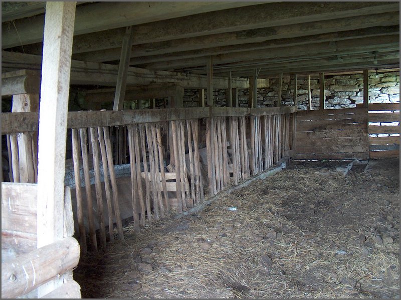 Inside Stable1.jpg