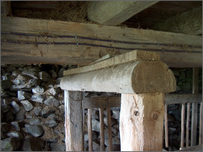 Inside Stable7.jpg