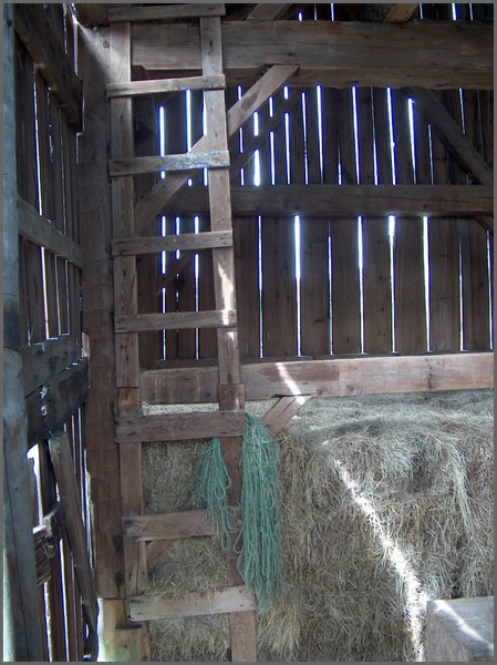 Ladder In Barn.jpg